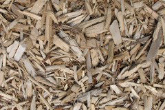 biomass boilers Ridgacre