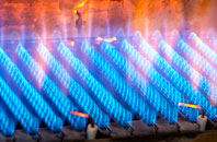 Ridgacre gas fired boilers